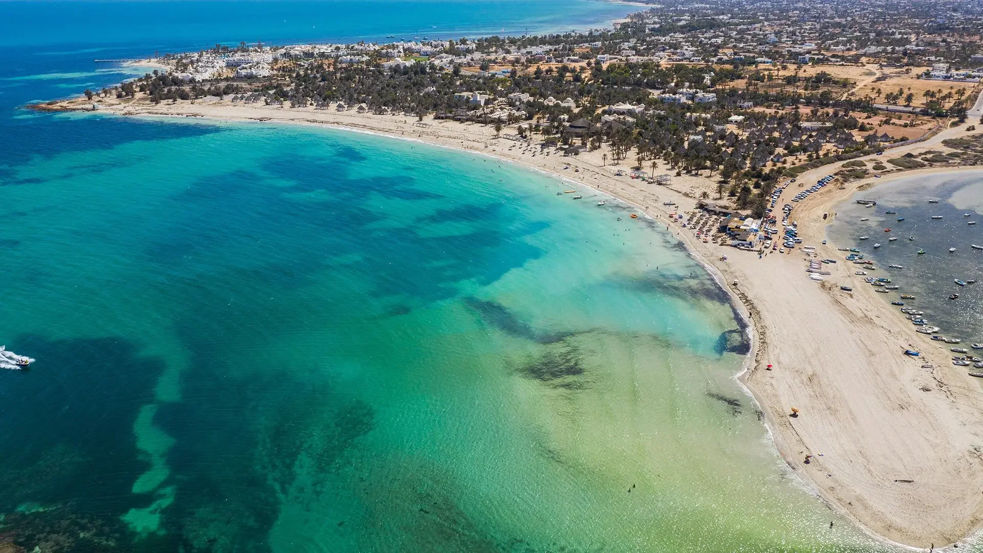 Djerba: A Ilha dos Flamingos